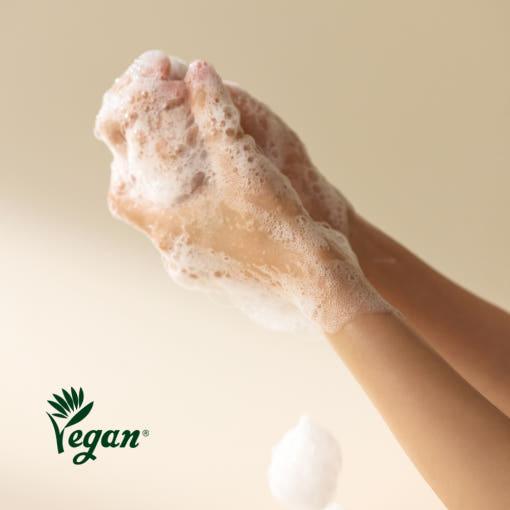 innisfree Isle Number Body & Hand Wash 300ml #Green Tea Essence (Body Wash)